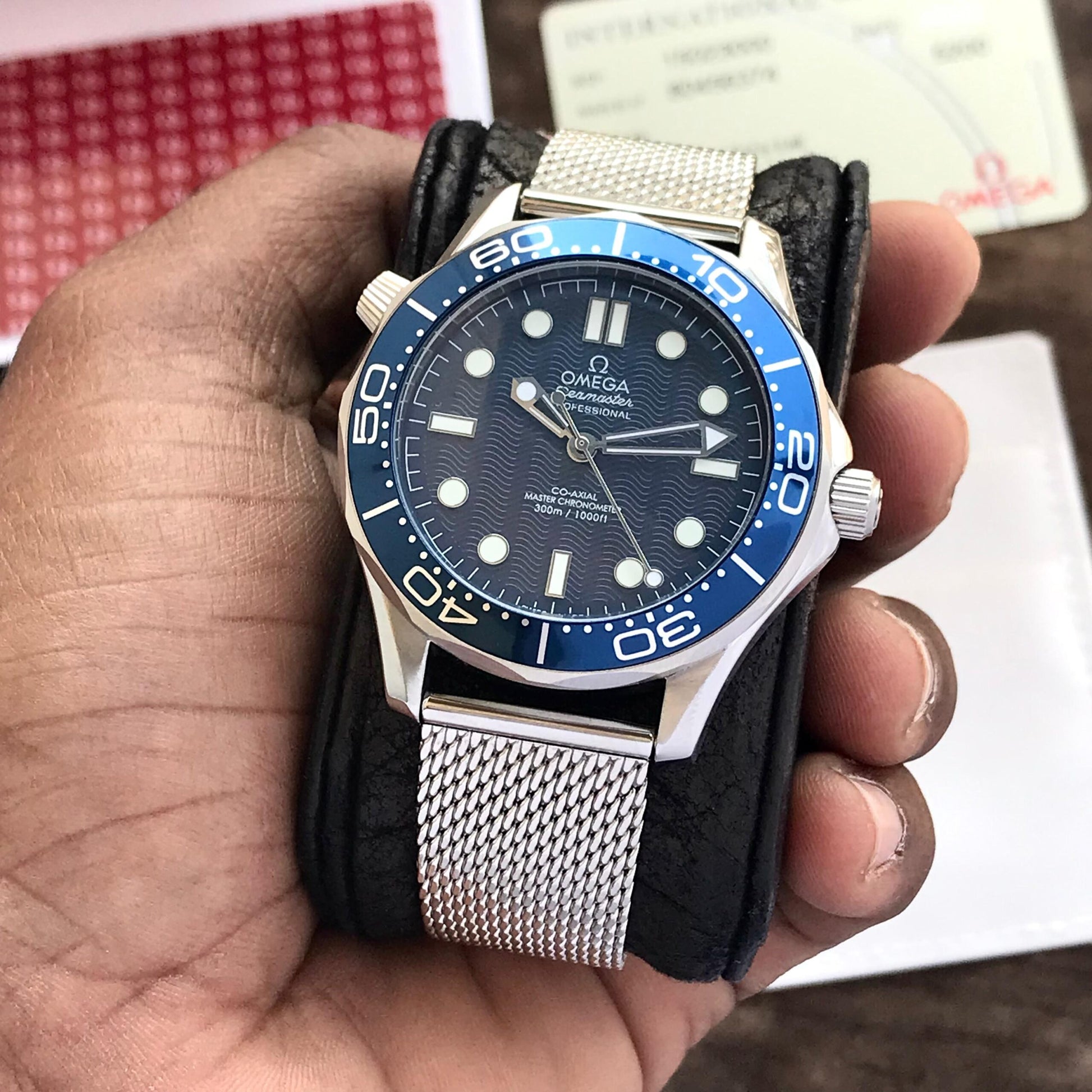 Omega Seamaster Diver 300M Watch Store India