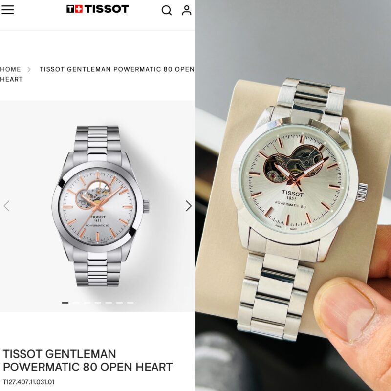 IMG 20241120 WA0008 scaled https://watchstoreindia.in/products/tissot-gentleman-powermatic-80-2/