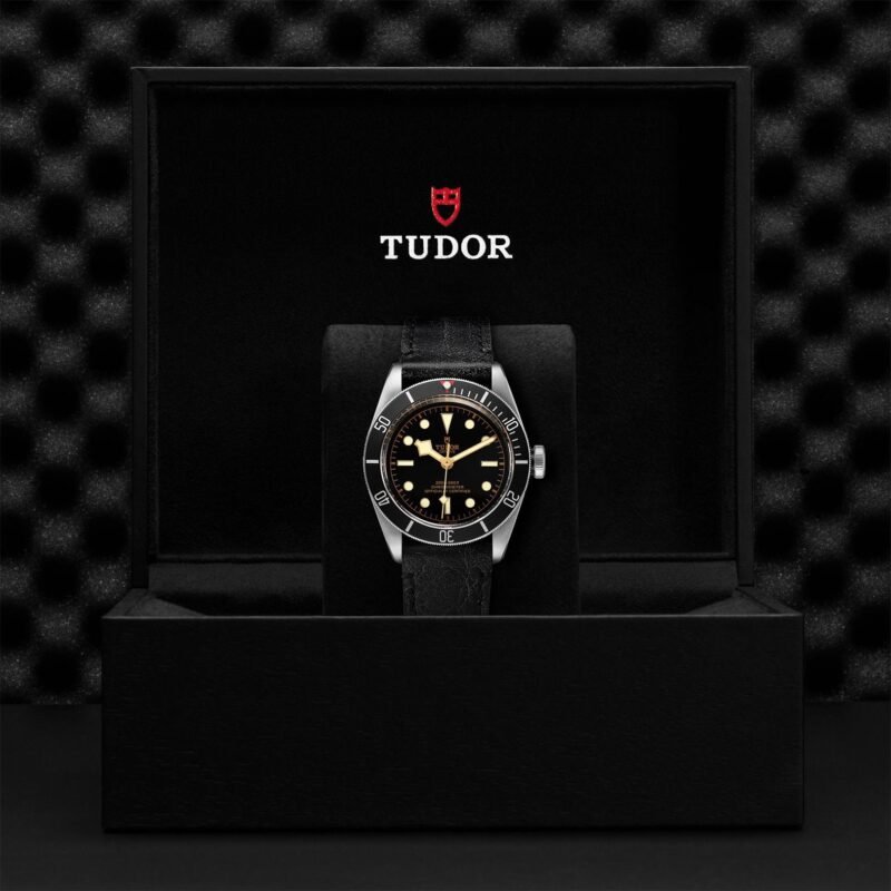 1000020260 https://watchstoreindia.in/Shop/tudor-black-bay-54-master-original/