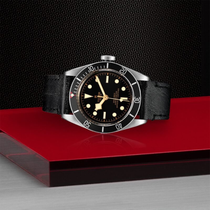 1000020262 1 https://watchstoreindia.in/Shop/tudor-black-bay-54-master-original/
