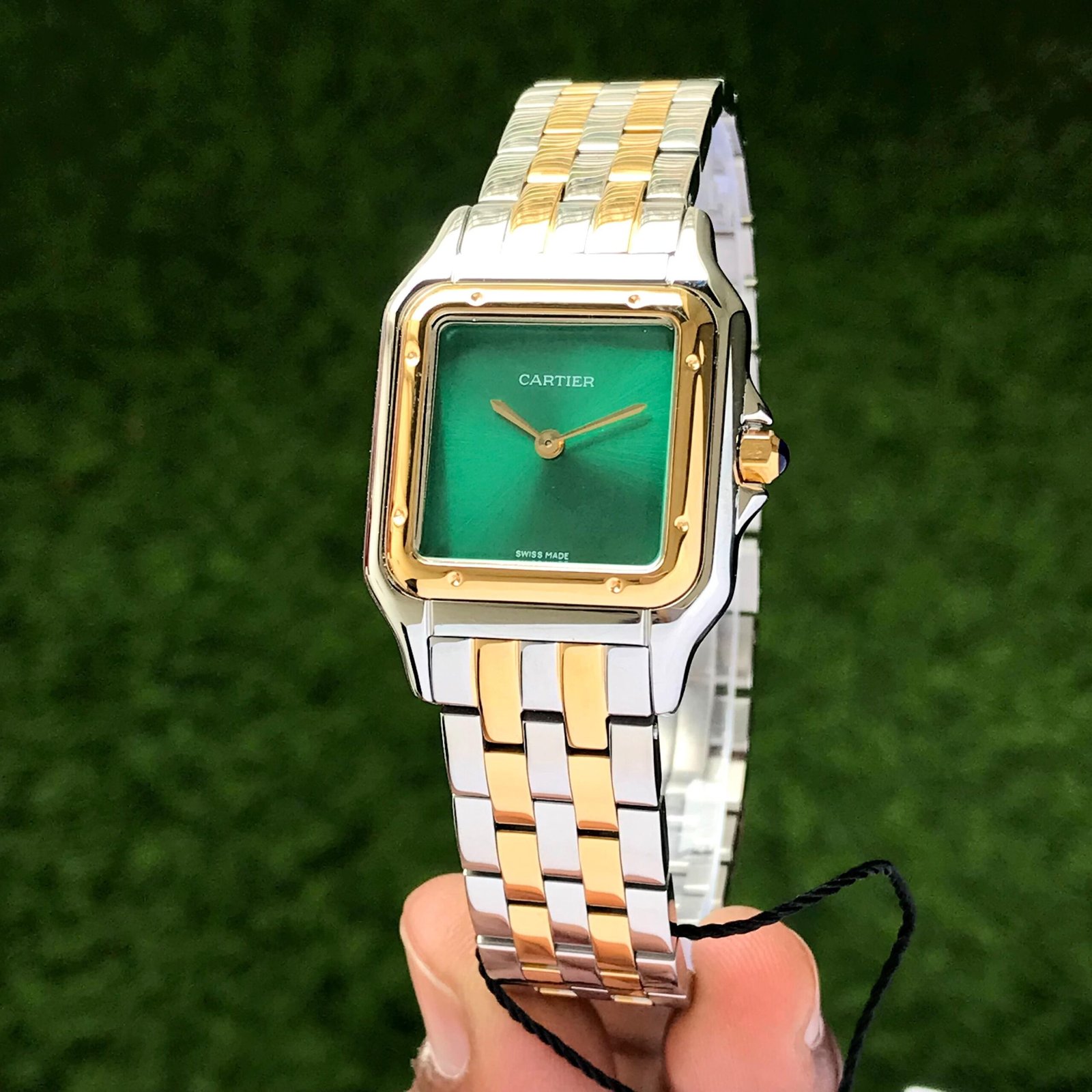 Cartier Panthere De Santos